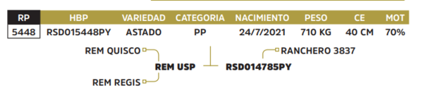 Lote LOTE 72