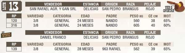 Lote LOTE 13 - EN VIVO