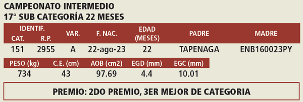 Lote LOTE 7