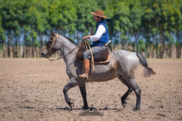 Lote RP 7 - Mosco