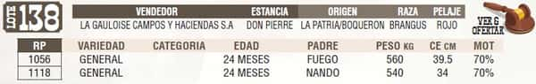 Lote LOTE 138 - EN VIVO