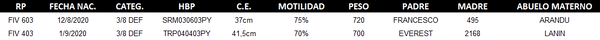 Lote LOTE 52 - DUO