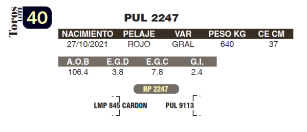 Lote LOTE 40