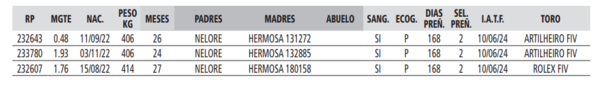 Lote LOTE 15