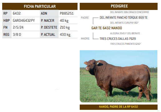 Lote LOTE 33