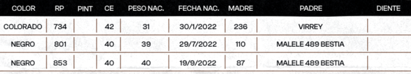 Lote "TRES MOLINOS"  TOROS  P.C.