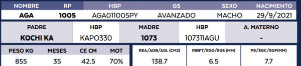 Lote LOTE 78