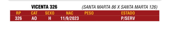 Lote LOTE 23