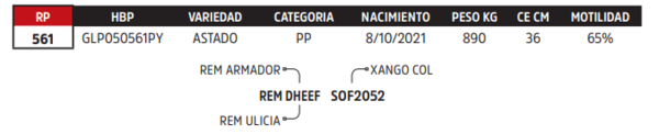 Lote LOTE 71