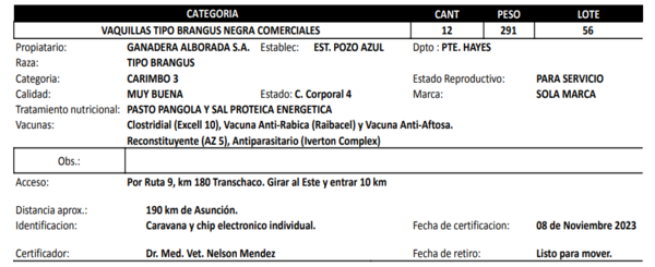 Lote LOTE 56