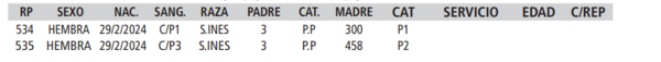 Lote LOTE 28