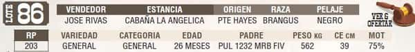 Lote LOTE 86 - EN VIVO