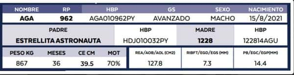 Lote LOTE 63