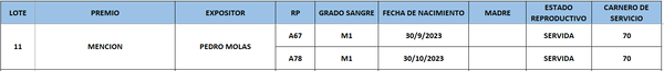 Lote LOTE 11