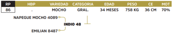 Lote LOTE 50