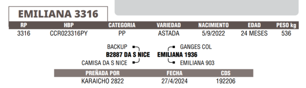 Lote LOTE 51