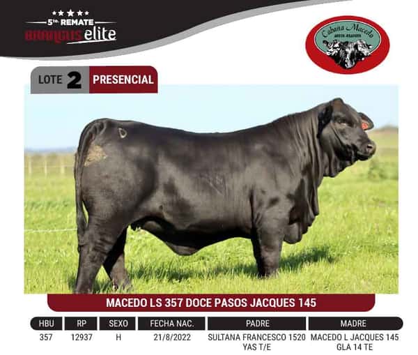 Lote "CABAÑA MACEDO" - MACEDO LS 357 DOCE PASOS JACQUES 145