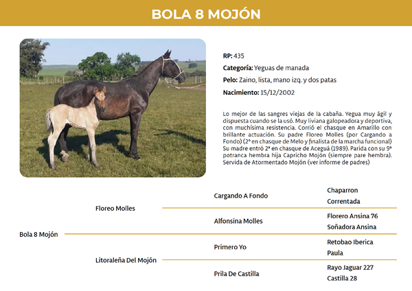 Lote Bola 8 Mojón (RP 435)