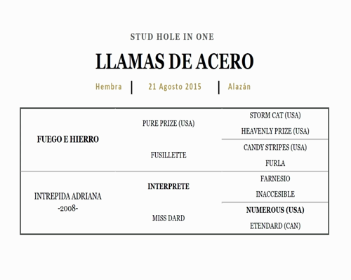 Lote LLAMAS DE ACERO (FUEGO E HIERRO - INTREPIDA ADRIANA)
