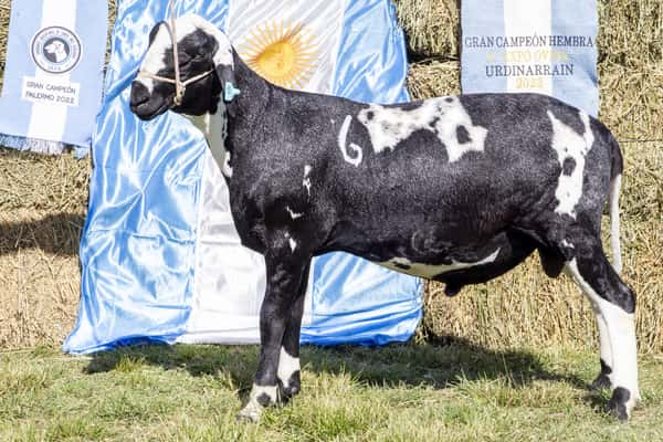 Lote SANTA INES P.P.