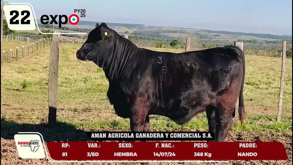 Lote LOTE 22