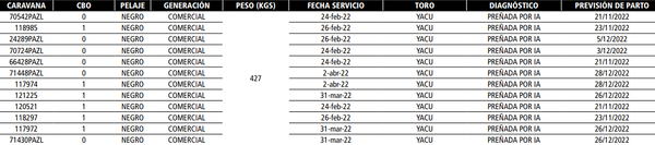 Lote Reproductores de Alborada - Lote 41