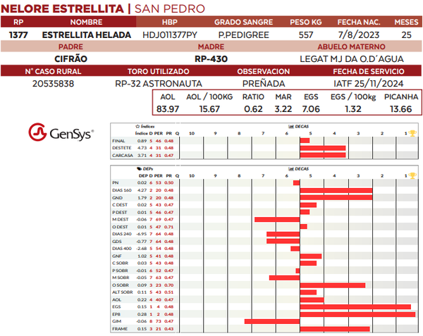 Lote LOTE 29