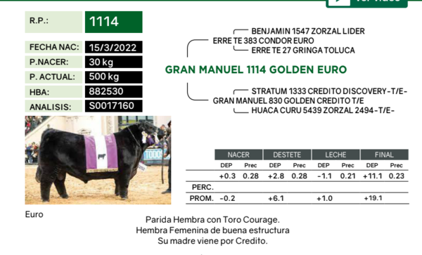 Lote Vaquillonas PP Paridas