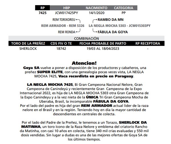 Lote LOTE PREÑEZ ELITE