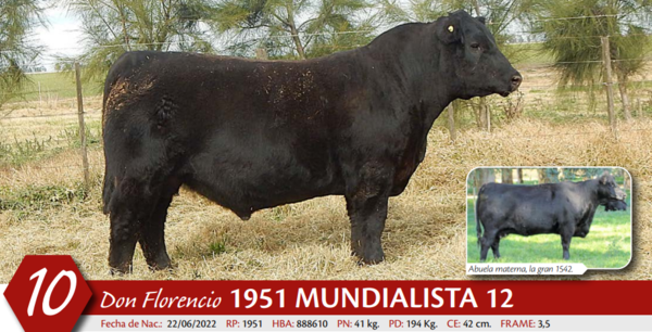 Lote MACHO PP