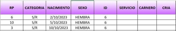 Lote LOTE 14