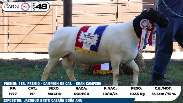 Lote LOTE 48