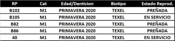 Lote LOTE 3