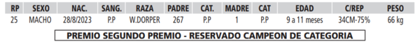 Lote LOTE 27