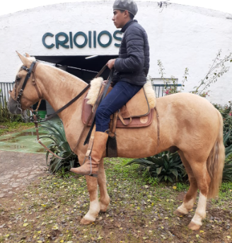 Lote CRIOLLOS EXPO INTERNACIONAL 2022 RP 6 - LOTE 20