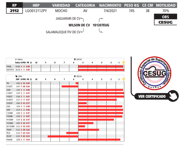 Lote LOTE 63