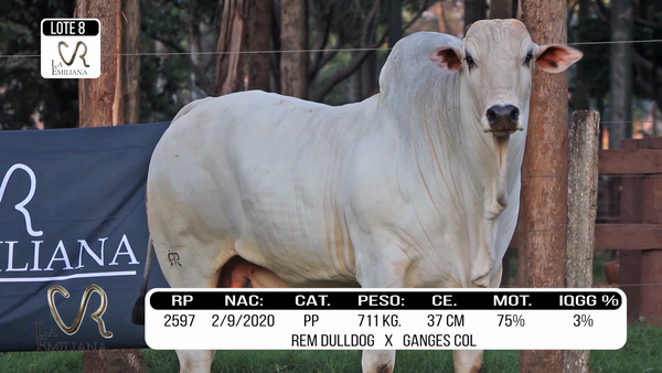 Lote LOTE 8