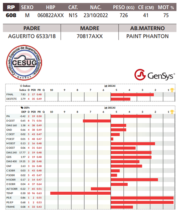 Lote LOTE 35