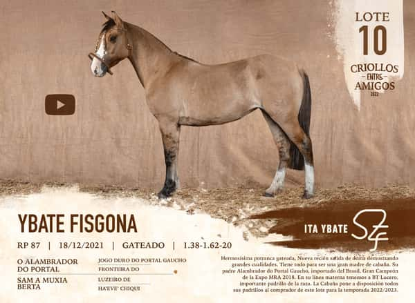 Lote YBATE FISGONA RP 87