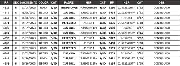 Lote LOTE 6