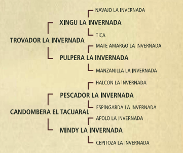 Lote Fuga el tacuaral