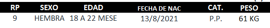 Lote LOTE 3 - CHE TAVA YPY - RP 9