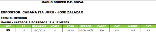 Lote LOTE 55