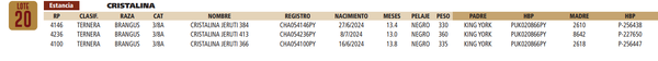 Lote LOTE 20