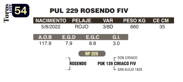 Lote LOTE 54