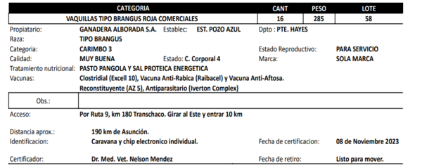 Lote LOTE 58