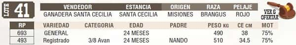 Lote LOTE 41 - EN VIVO