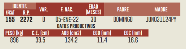 Lote LOTE 2