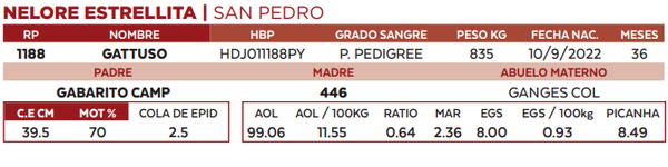 Lote LOTE 12