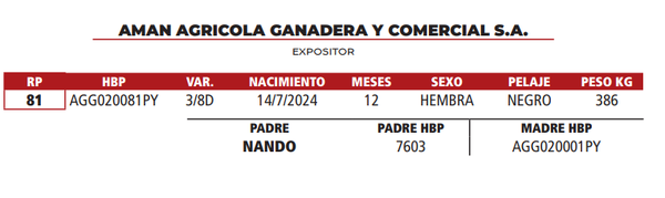 Lote LOTE 22